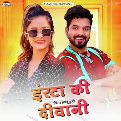 Insta Ki Diwani - Samdu Gurjar album cover 