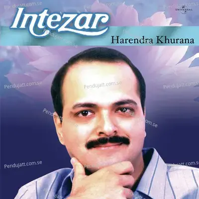 Teri Gali Mein - Harendra Khurana album cover 