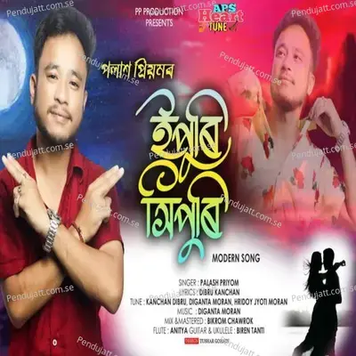 Ipuri Hipuri - Palash Priyom album cover 