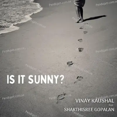 Is It Sunny - Vinay Kaushal album cover 