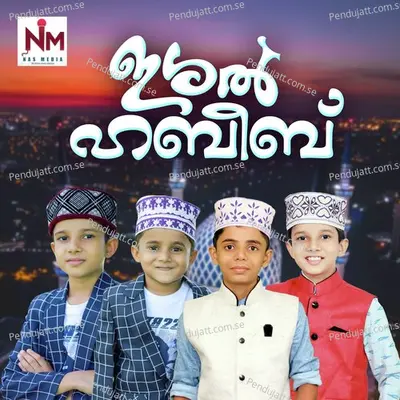 Ambiya Raja - Amjad Omanoor album cover 