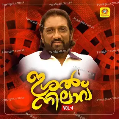 Malikapon Thattileri - Baby Bahjida album cover 