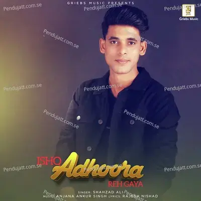 Ishq Adhoora Reh Gaya - Shahzad Ali album cover 