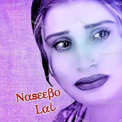 Shukriya Shukriya - Naseebo Lal album cover 