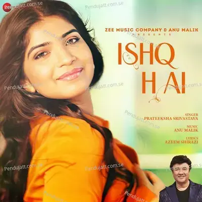 Ishq Hai - Anu Malik album cover 