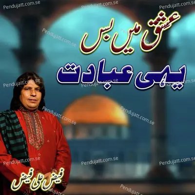 Ishq Mein Bus Yehe Hai Ibadat - Faiz Ali Faiz album cover 