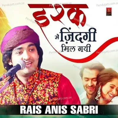 Ishq Mein Jindagi Ka Maja Mil Gaya - Rais Anis Sabri album cover 