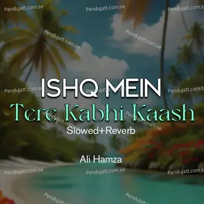 Ishq Mein Tere Kabhi Kaash Lofi - Ali Hamza album cover 