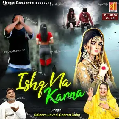 Bewafa Ja Teri Galiyon Mein Nahi Aaunga - Saleem Javed album cover 