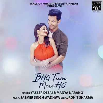 Ishq Tum Mere Ho - Yasser Desai album cover 