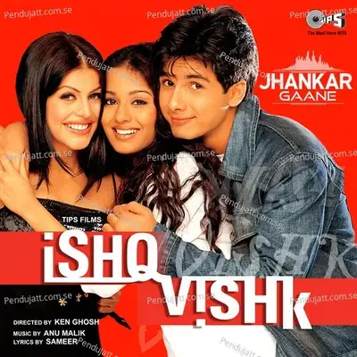 Aisa Kyun Hota Hai - Alka Yagnik album cover 