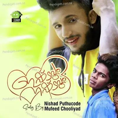 Ishtavum Nashtavum - Nishad Puthucode album cover 