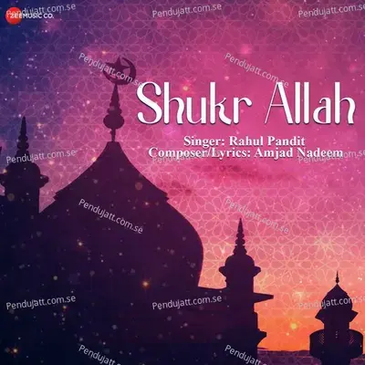 Shukr Allah - Rahul Pandit album cover 