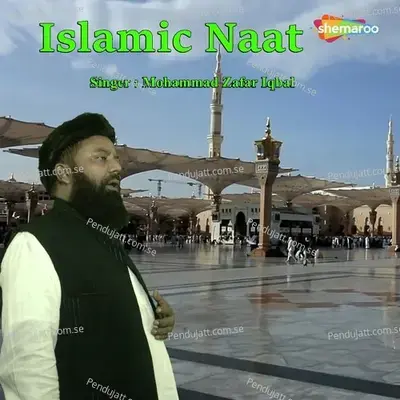 Hum Tere Darr Ki - Mohammad Zafar Iqbal album cover 