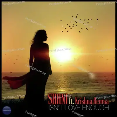 Isn'T Love Enough - Shani album cover 