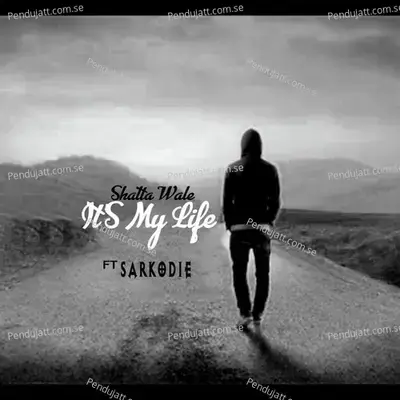 It  039 S My Life - Shatta Wale album cover 