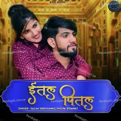 Ital Pital - Salim Shekhawas album cover 