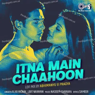 Itna Main Chaahoon (Lofi Mix) - Alka Yagnik
