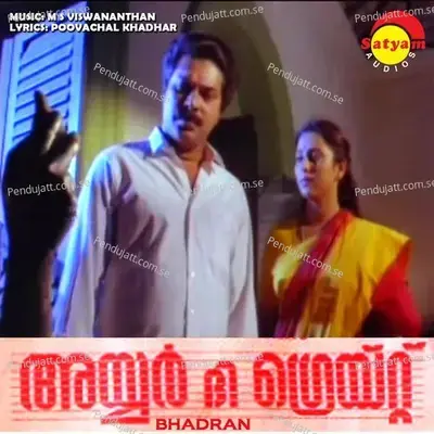 Chalanam Jwalanam - M.S. Viswanathan album cover 