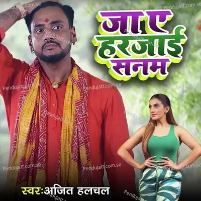 Ja A Harjaai Sanam - Ajit Halchal album cover 