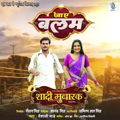 Ja Ae Balam - Vaishali Made album cover 