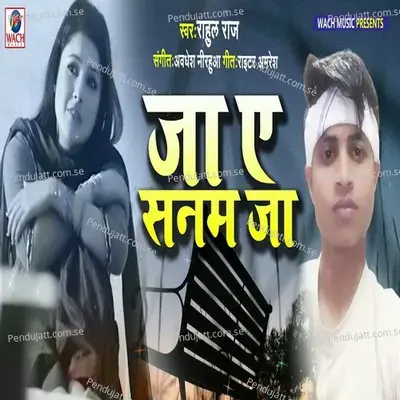 Ja Ae Sanam Ja - Rahul Raj album cover 