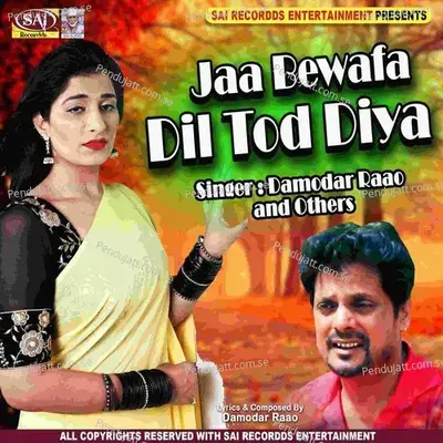 Mera Pyar Bewafa Hai - Sonu Rao album cover 