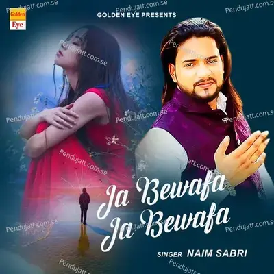 Ja Bewafa Ja Bewafa - Naim Sabri album cover 