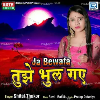 Ja Bewafa Tujhe Bhul Gaye - Ravi Nagar