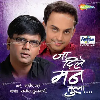 Ja Dile Man Tula - Saleel Kulkarni album cover 