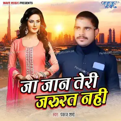 Ja Jaan Teri Jarurat Nahi - Pankaj Sharma album cover 