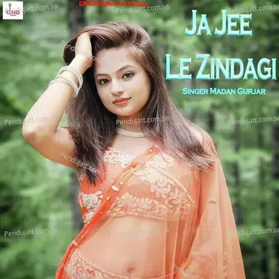 Ja Jee Le Zindagi - Madan Gurjar album cover 