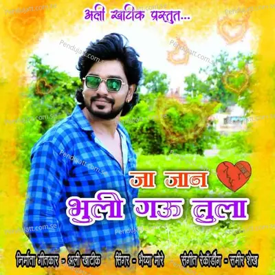 Jaa Jaan Bhuli Gau Tula - Bhaiya More album cover 