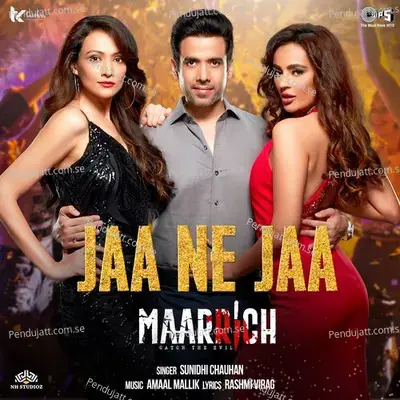 Jaa Ne Jaa - Amaal Mallik album cover 