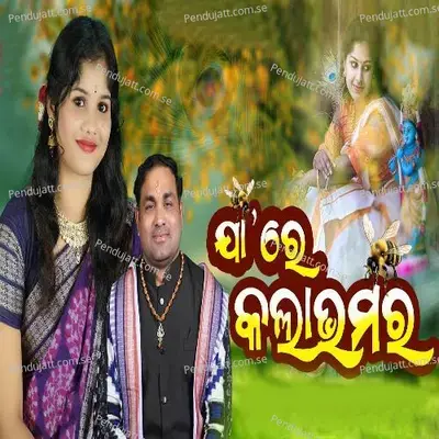 Jaa Re Kala Bhamara - Balkrishna Tripathy album cover 