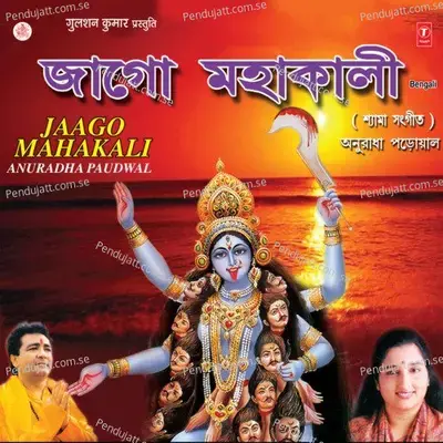 Aktu Kripa Kor Maa - Anuradha Paudwal album cover 