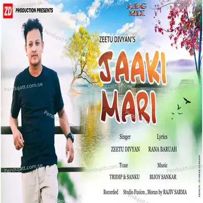 Jaaki Mari - Zeetu Divyan album cover 