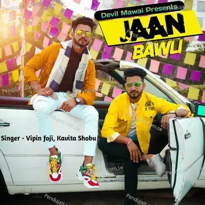 Jaan Bawli - Vipin Foji album cover 