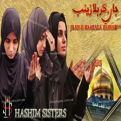 Jaan E Karbala Zainab - Hashim Sisters album cover 