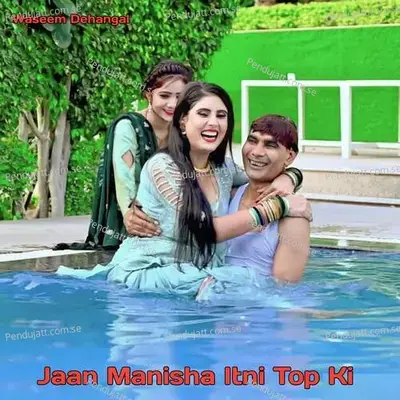 Jaan Manisha Itni Top Ki - Waseem Dehangal album cover 