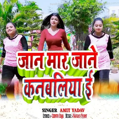 Jaan Mare Jaan Kanbaliya Ea - Amit Yadav album cover 