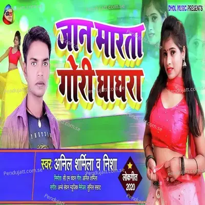 Jaan Marta Gori Ghaghara - Anil Sharmila album cover 