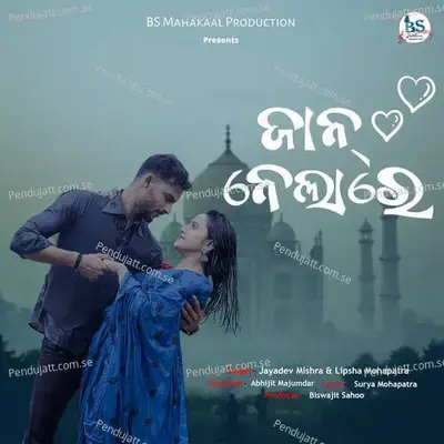 Jaan Nelare - Jayadev Mishra album cover 