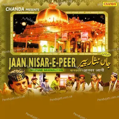 Teri Nas Nas Bole Peer Ki - Anwar Jani album cover 