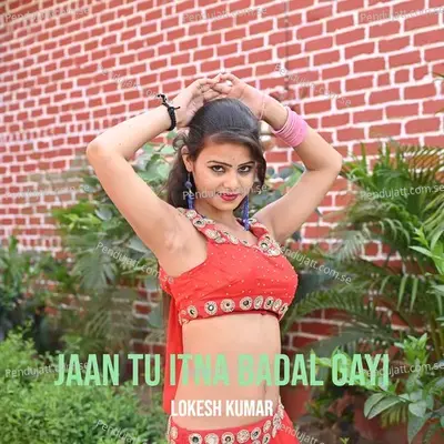 Jaan Tu Itna Badal Gayi - Lokesh Kumar