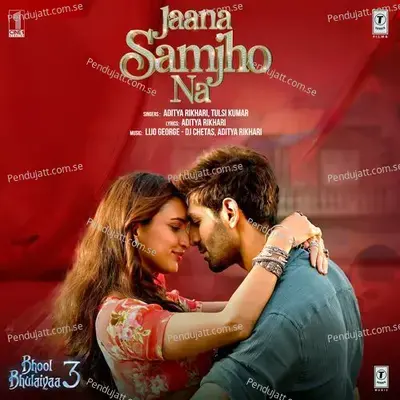 Jaana Samjho Na - Aditya Rikhari album cover 