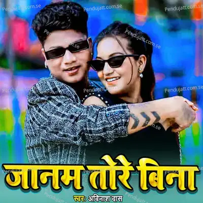 Jaanam Tore Bina - Avinash Das album cover 