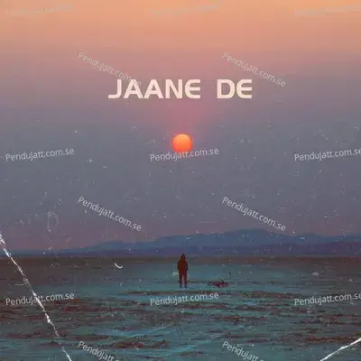 Jaane De - Ravi Krishnavat album cover 