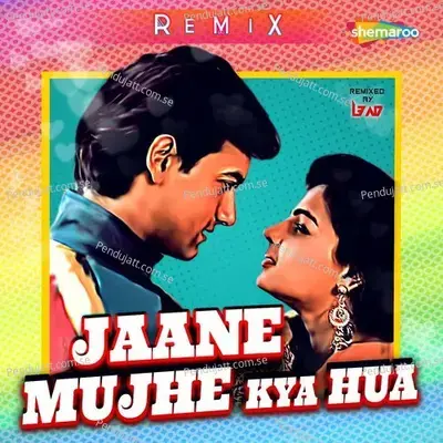 Jaane Mujhe Kya Hua - Remix - Sadhana Sargam album cover 