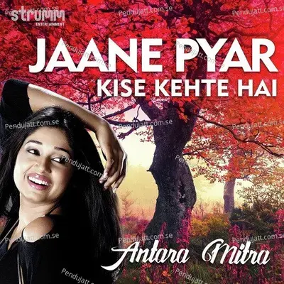 Jaane Pyar Kise Kehte Hain - Antara Mitra album cover 